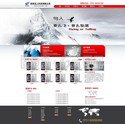 湖南鸟人科技网站图片